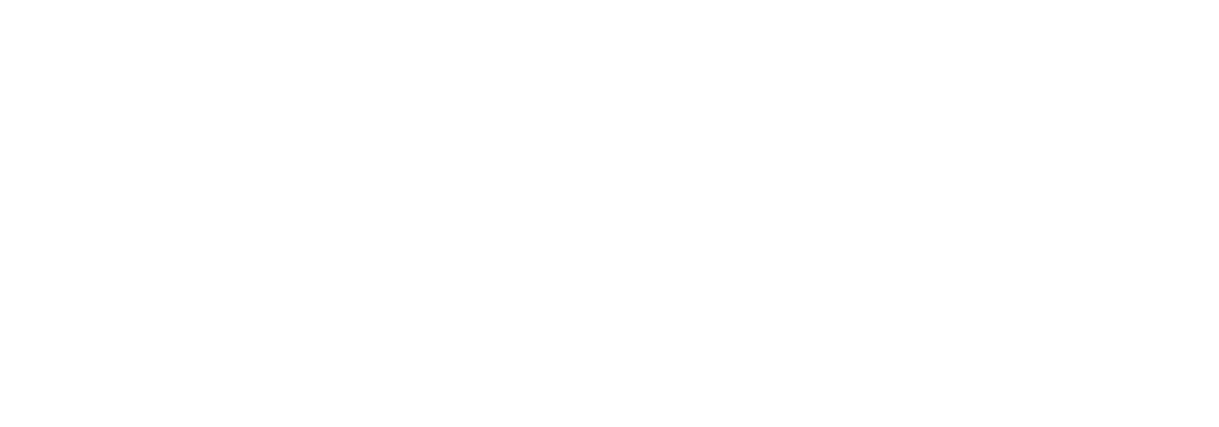 druck.at